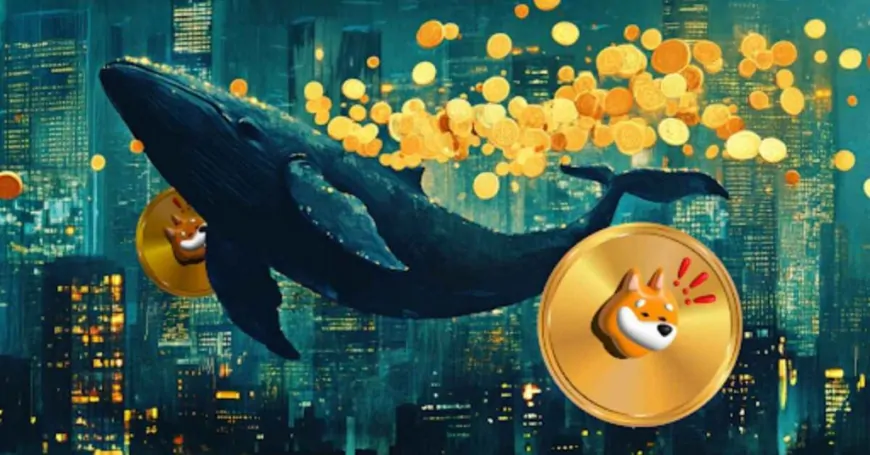 Solana Meme Coins Bonk And Dogwifhat Continue To Slide; Money Is Rotating To Remittix