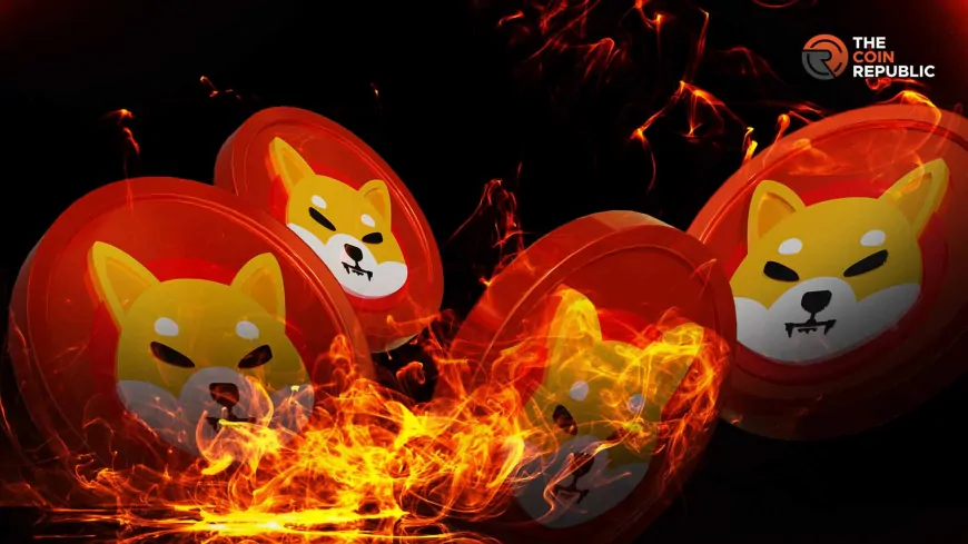 SHIB Coin Eyes $0.001, Burn Rate Surges 1500% As Ecosystem Expands