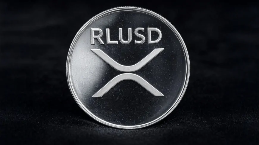 Behind Ripple's Stablecoin Growth: A Closer Look at the Top 10 RLUSD Giants