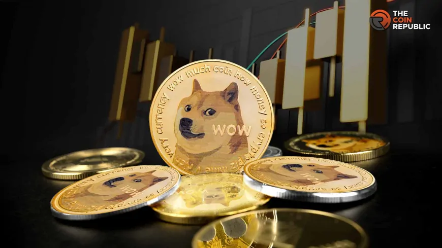 DOGE Price Strengthens Amid Bullish Distribution Phase Momentum