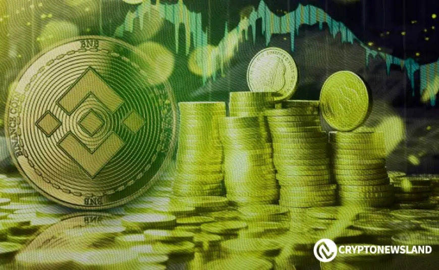 Dynamic and Lucrative: The Binance Tokens Driving Market Sentiment in 2025