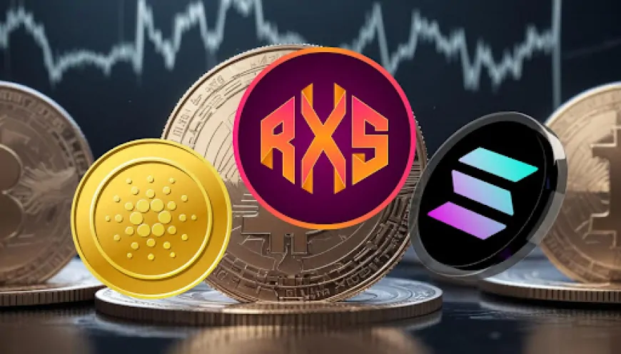 Solana (SOL), Rexas Finance (RXS) Ready to Rally, But Here's Why Cardano (ADA) Could Fall Behind