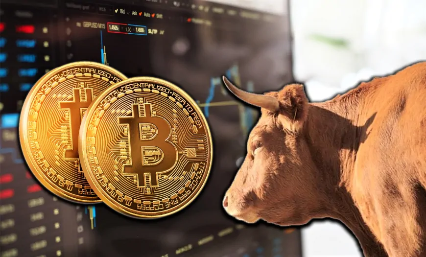 Is the Rally in Bitcoin in the Last Hours Sustainable? Analysts Evaluated the Latest Situation