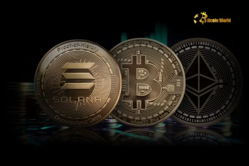 BTC, ETH, and SOL to See Further Gains, Predicts Placeholder's Chris Burniske