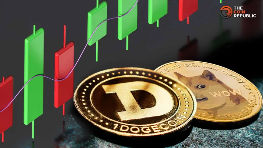 Can Dogecoin Price Surpass $1? DOGE MVRV Reaches New Highs in 4 Years