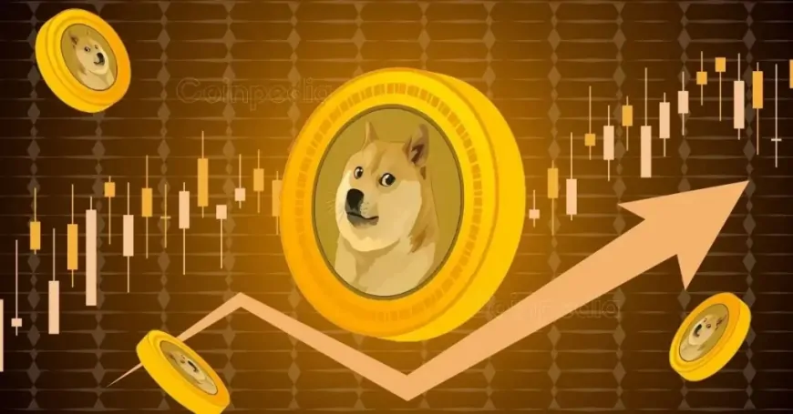 Time to Buy DOGE? Whales Buy 1 Billion Meme Coins