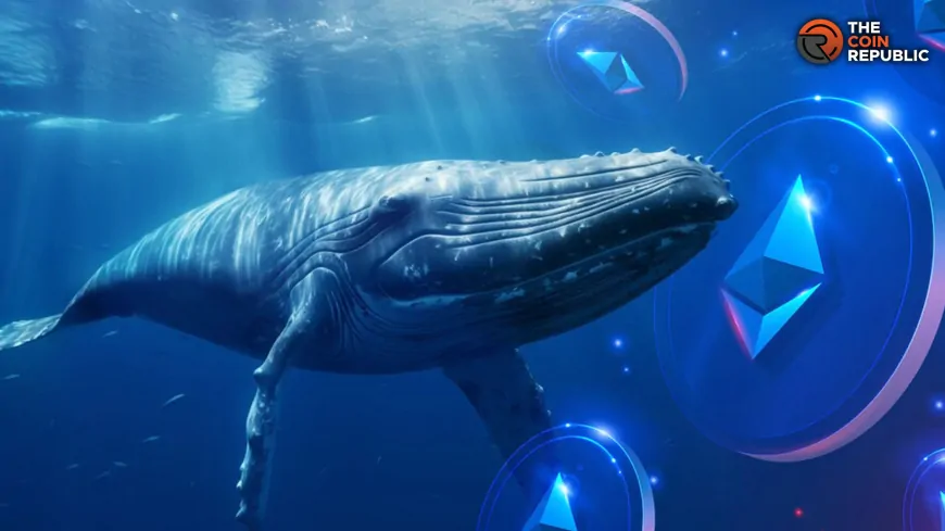 Whale Moves 40,000 ETH to Bitfinex, Ethereum Price at Risk