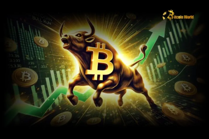 Crypto Analyst Predicts Gains for Bitcoin and Altcoins as Bull Cycle Matures