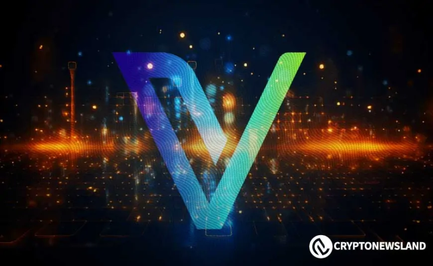 VeChain Bull Run: What Does the Latest Data Tell Us?