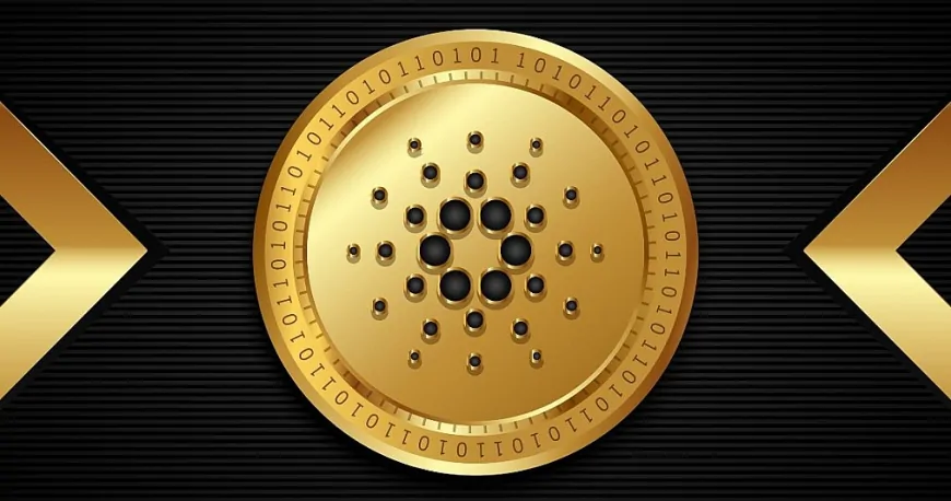 Cardano's ADA Gathers Momentum as Investors Eye $3 Target