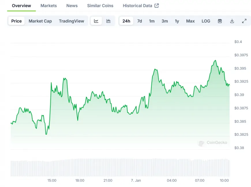 DOGE Price Analysis: Whale Transactions and Technical Indicators Point to $0.50 Target