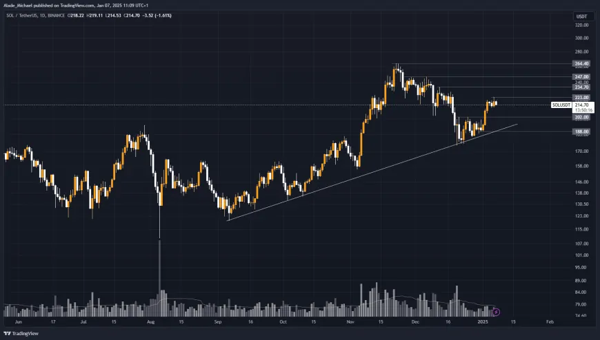 SOLANA PRICE ANALYSIS & PREDICTION (January 7) – SOL Primes For A New Rally As It Overcomes $200, Now Facing Hurdles