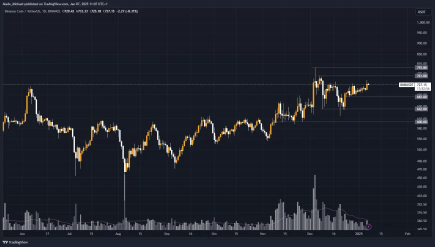 BINANCE COIN PRICE ANALYSIS & PREDICTION (January 7) – BNB Faces Slight Rejection As It Stages Fresh Rally With A Weekly 4% Surge