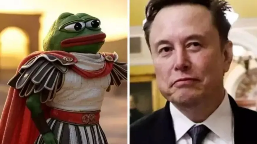 Kekius Maximus Price Prediction: KEKIUS Soars 22%, But Will This New Frog-Themed Rival Become The Next Pepe For Elon Musk?