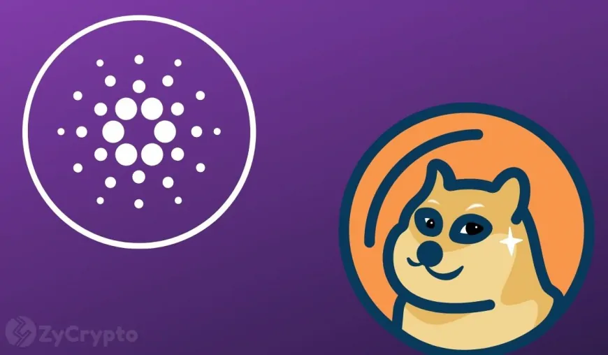 Cardano and Dogecoin Lead Top Crypto Weekly Inflow; How High Can ADA and DOGE Soar?