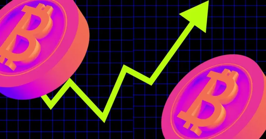 Rising USDT Dominance Marks Bitcoin & Altcoin Buy Opportunity: Crypto Rover