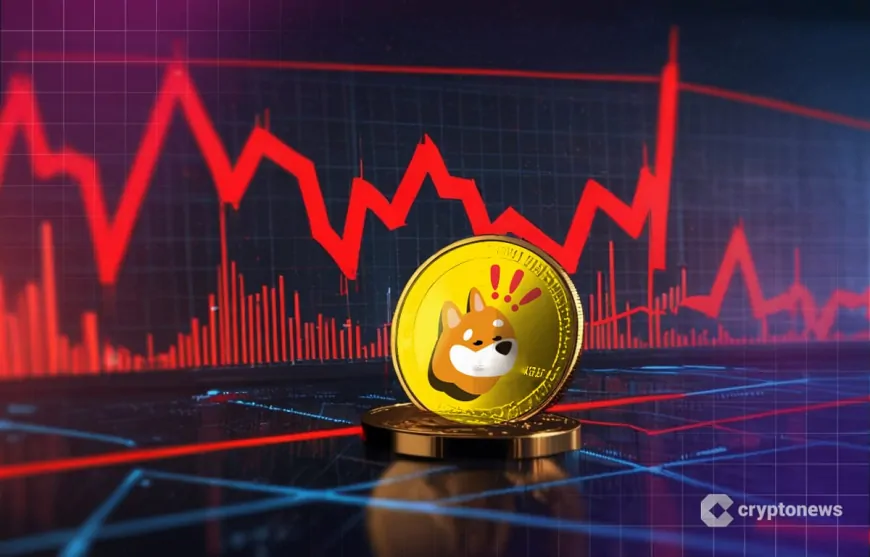 Why Is BONK Crashing? Major Losses Hit Meme Coins as Bitcoin Drops Below $100K