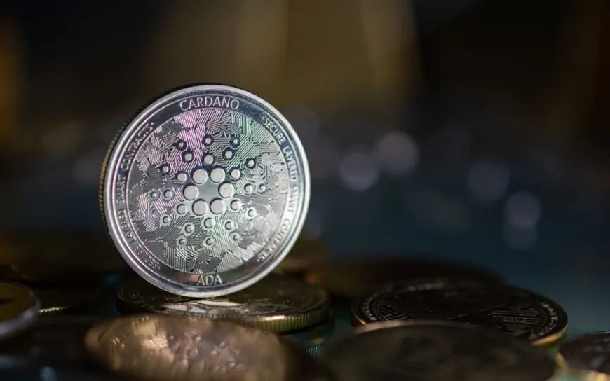 Cardano Price Slumps Under $1 – Time to Buy the Dip?