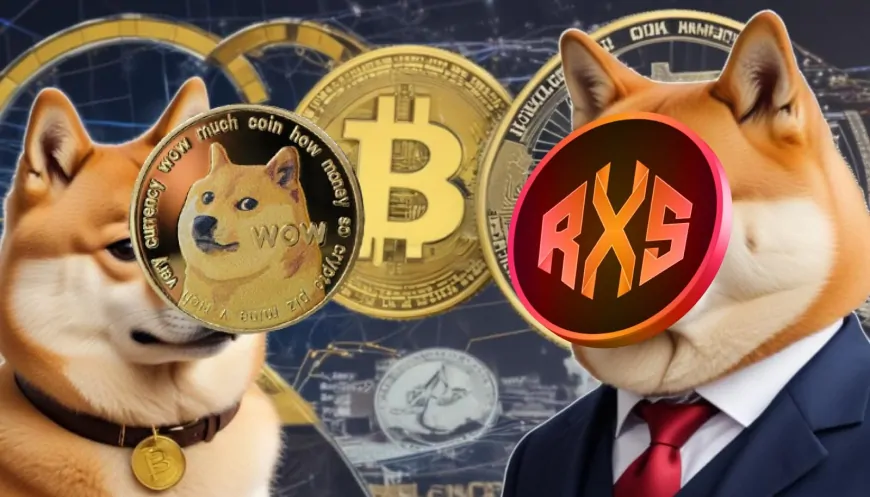 Which Crypto Will Create More Millionaires in 2025? A Showdown Between Dogecoin (DOGE) and Rexas Finance (RXS)