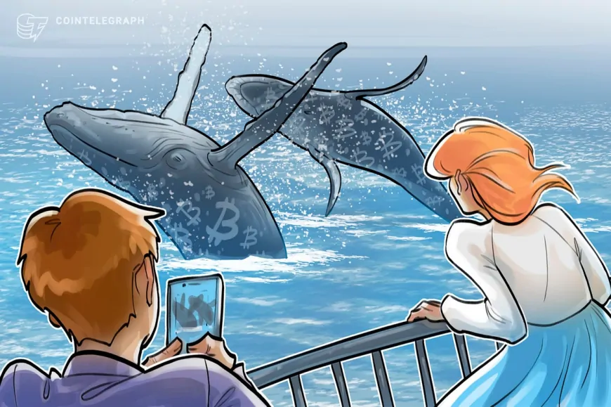 Bitcoin whales have scooped up 34K BTC since December dump: Analyst