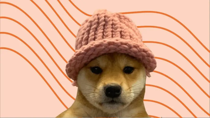 Dogwifhat Price Prediction: WIF Plunges 9% As This New Solana Layer-2 Crypto Presale Goes Parabolic