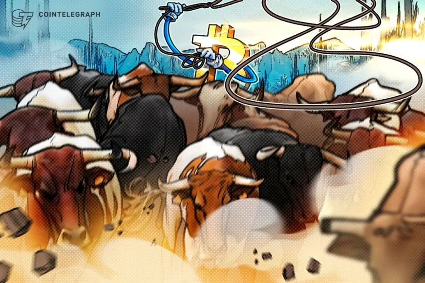 Is the Bitcoin bull run ending? Analyst says metrics don't point to a ‘market peak' yet