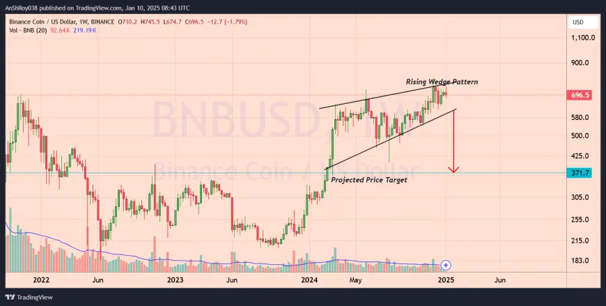 BNB, LTC, And IQ: Top Tokens To Watch Today