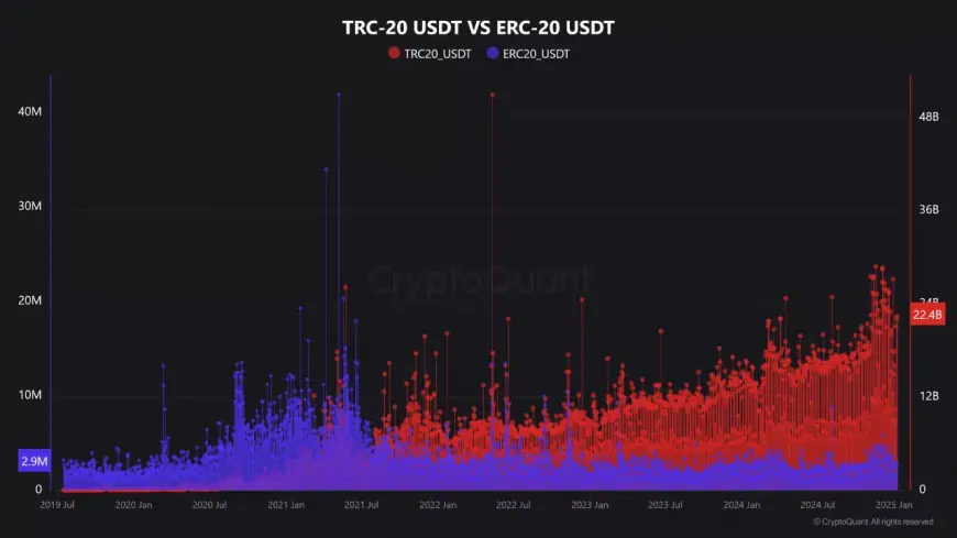 TRON's Rising USDT Transactions and Fee Revenue Suggest Potential Market Upsurge