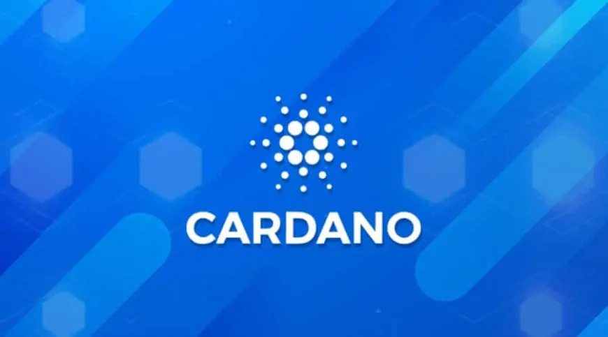 Cardano Price Prediction: ADA Pumps 4% As Traders Turn To This Crypto Wallet That Flags Hot Upcoming Tokens