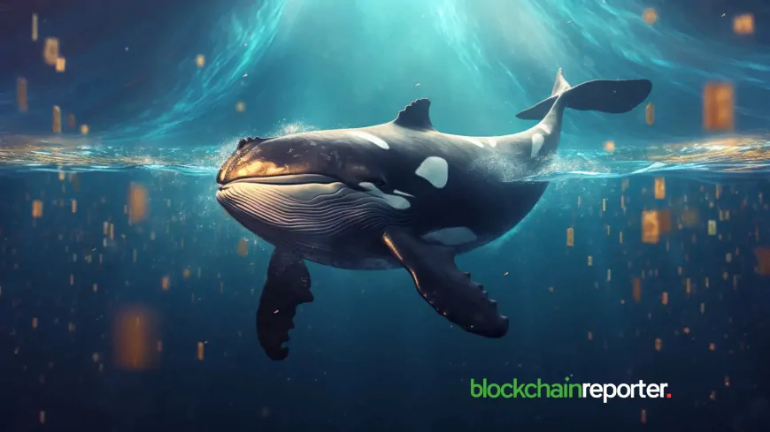 Whales Accumulate $2M Cookies, AIXBT, and CGPT Tokens Following Binance Token Listing