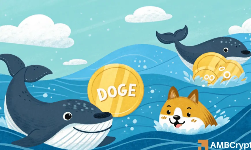 Dogecoin: Can whales help DOGE target $0.50 next?