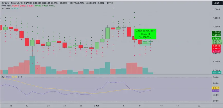 3 Solana Rivals to Turn $10K into $100K in January 2025