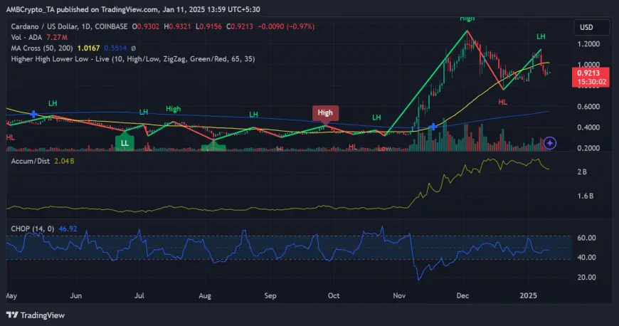 Cardano's Future: Assessing Recovery Potential Amid Market Volatility and Mixed On-Chain Metrics