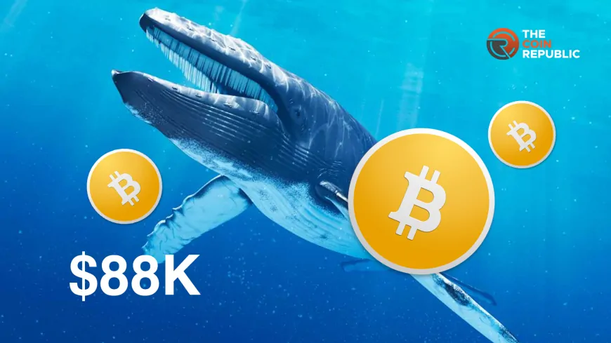 Whale Deposits $57.6M BTC At $94K, $88K Key For Short-Term Holders