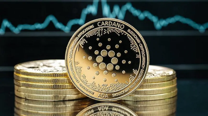 Cardano Gains Momentum for 2025 with Institutional Support and Key Partnerships