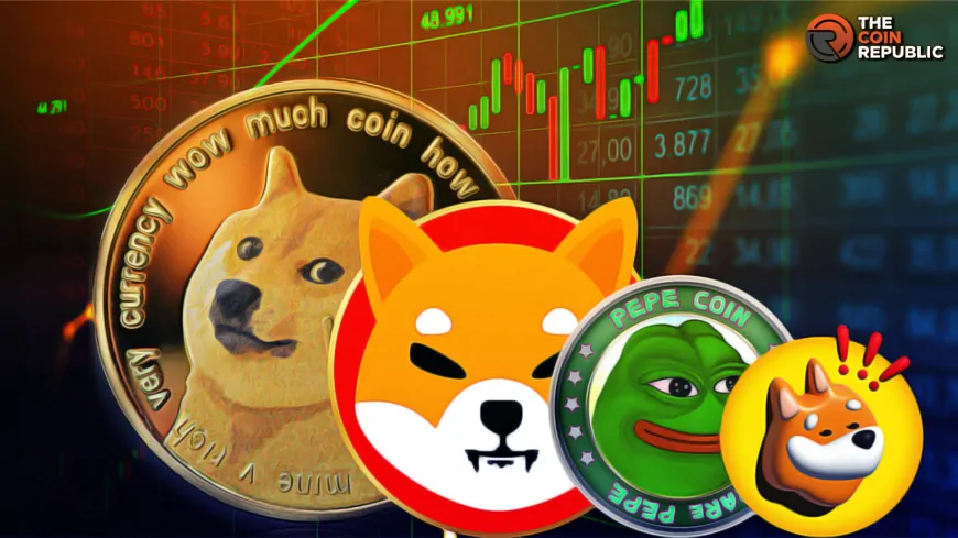 High ROI Meme Coins To Invest In 2025! Doge Uprising, BONK, And Pudgy Penguins