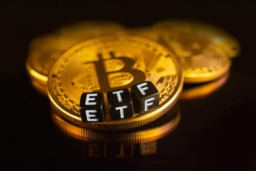 Prediksi Beberapa Pakar tentang Bitcoin ETFs di 2025!