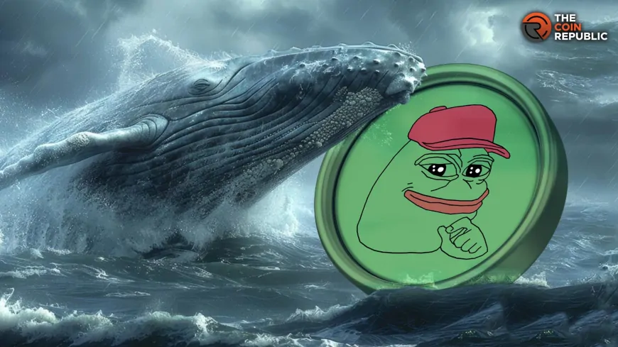 PEPE Crypto Addresses Hit New ATH At 360,900, Whale Activity Spikes