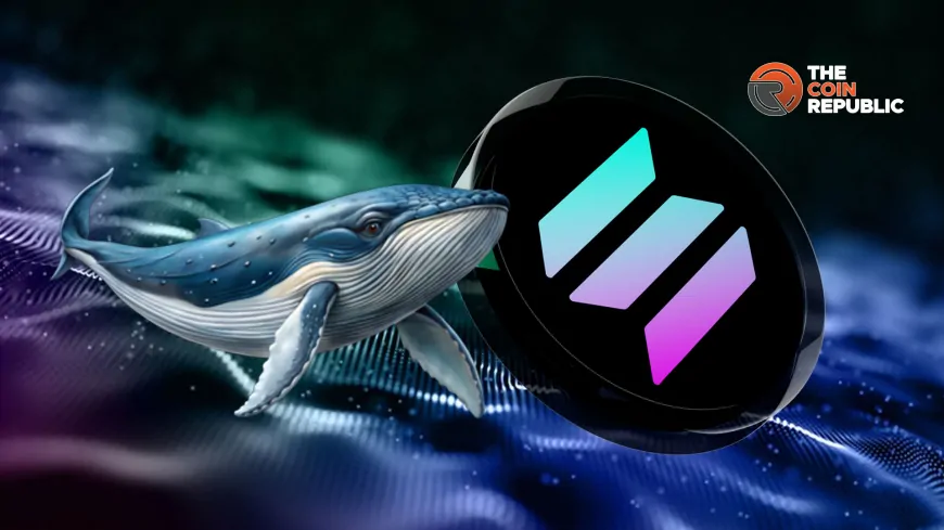 Solana Price In Focus As Whale Sends $27.92M To Binance