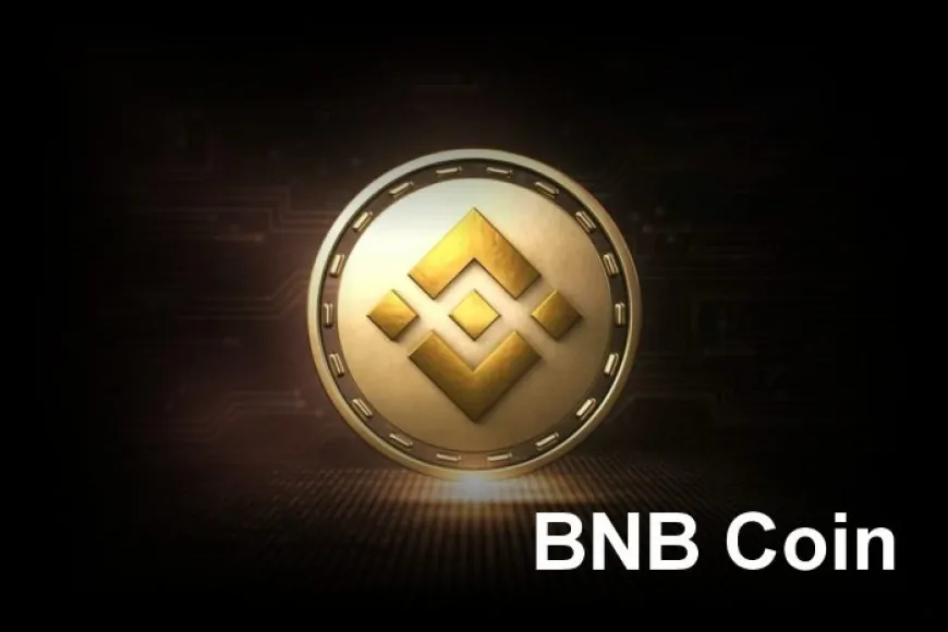 BNB Coin: Current Price, Features, and Market Potential