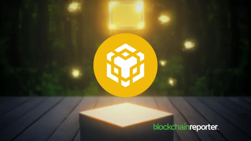 BNB Price Prediction For January 13