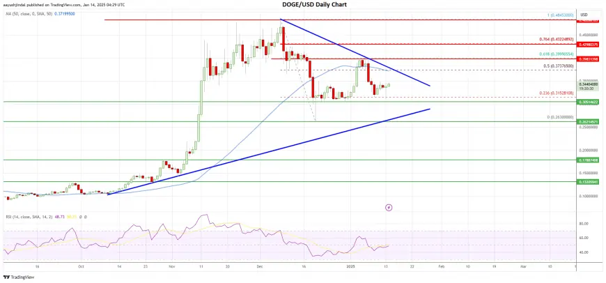 Dogecoin (DOGE) Faces Hurdles: Will Bulls Arrive After a Drop?