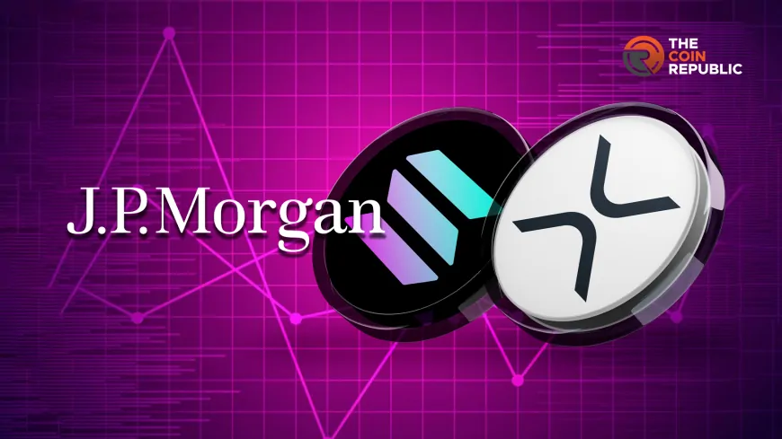 JPMorgan Issues Major Solana and XRP ETF Predictions: Details