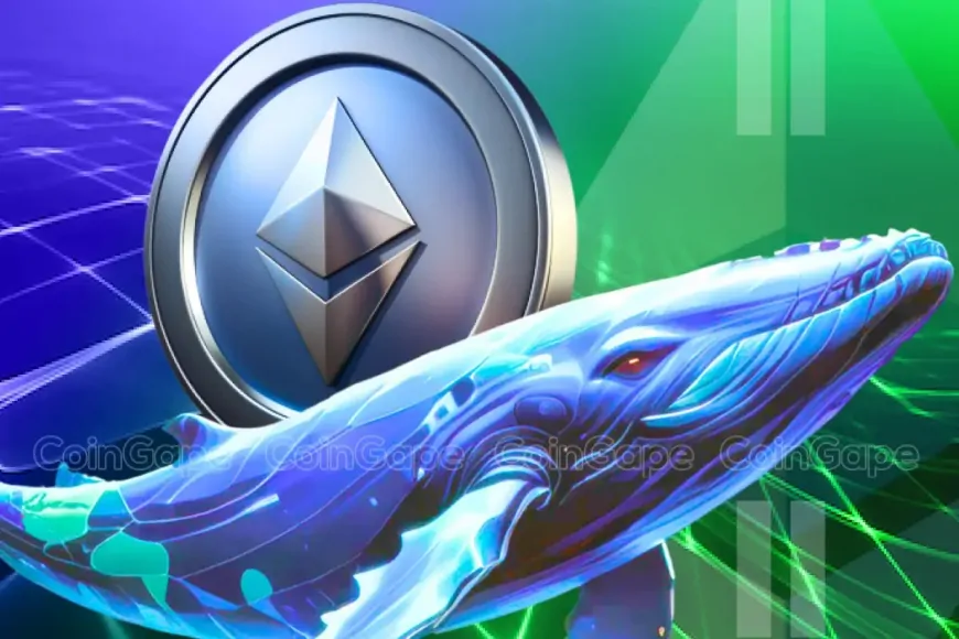 Ethereum Whales Buy 1 Million ETH As Price Dips Below $3,000