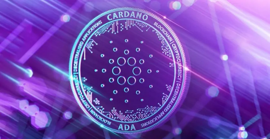 Cardano Price At Risk Of 15% Crash, Analyst Warns It Might Get ‘Bloody'