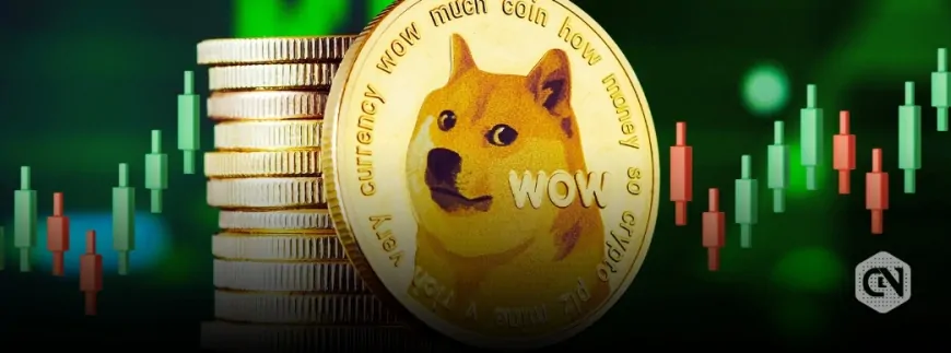 Dogecoin (DOGE) Leads Top 25 Cryptos with 12% Surge Today