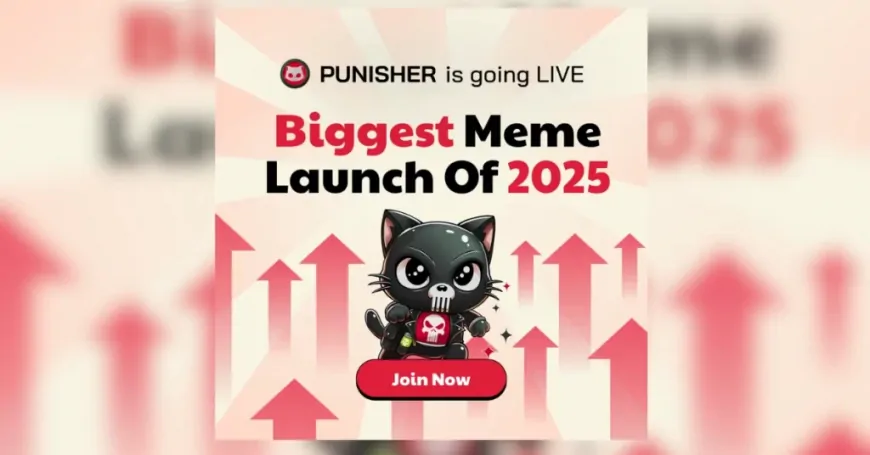 Which Crypto Should I Buy In 2025? Punisher Coin, Pepe Coin and Stellar