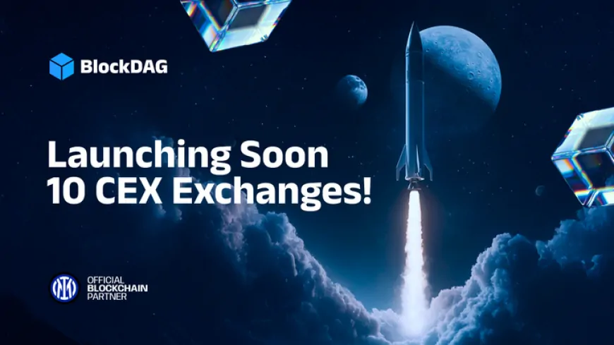 Hedera Targets $0.504 & PEPE Whales Hint a Comeback while 10 Major Exchanges Set to Welcome BlockDAG — The Hype is Real! 