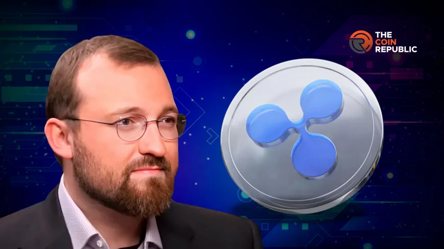 Cardano Founder Confirms Talks with Ripple: What's Next for RLUSD?