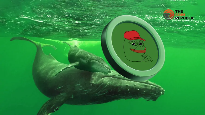 Massive 1.08 Trillion PEPE Coin Exit Binance, Whales Push Price 8%